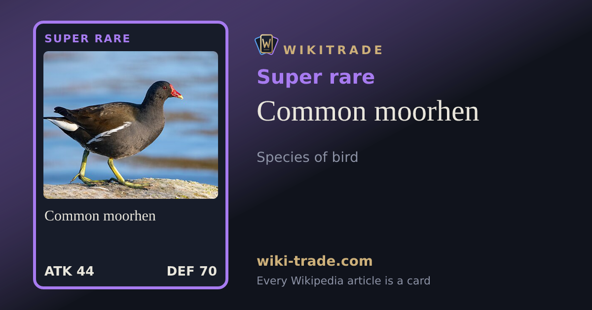 Common moorhen — Super rare card