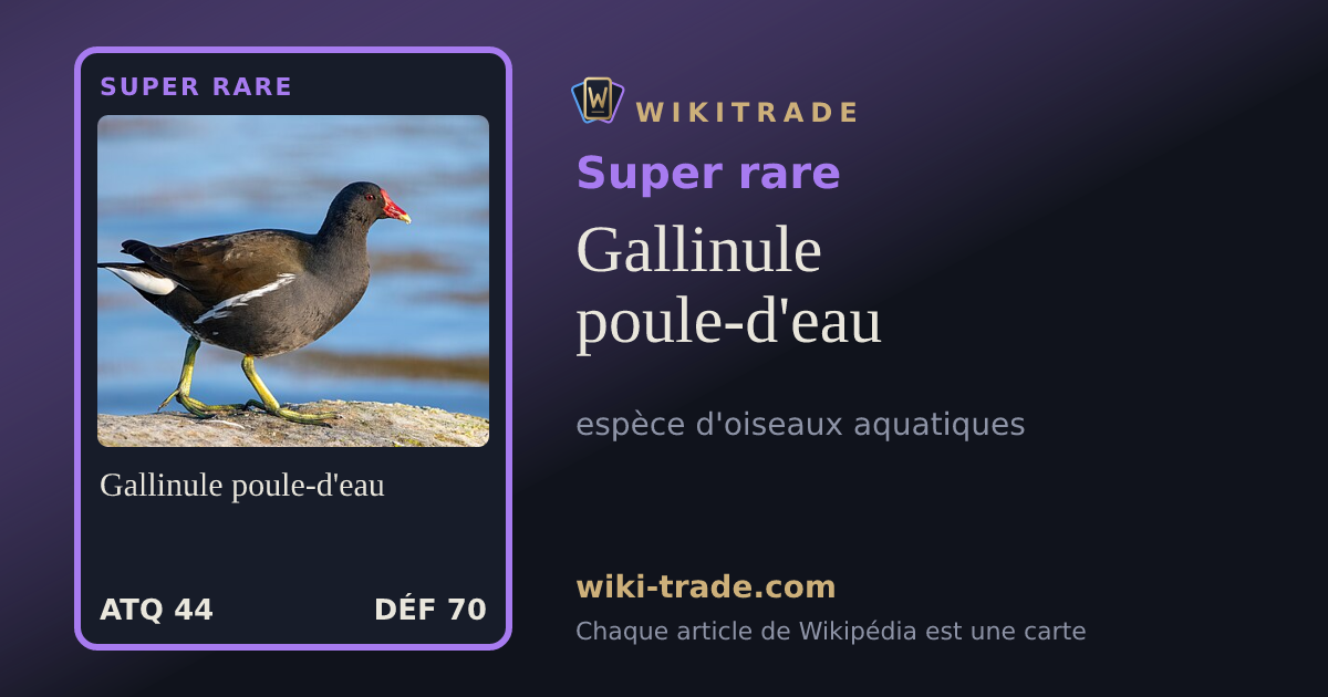 Gallinule poule-d'eau — carte Super rare