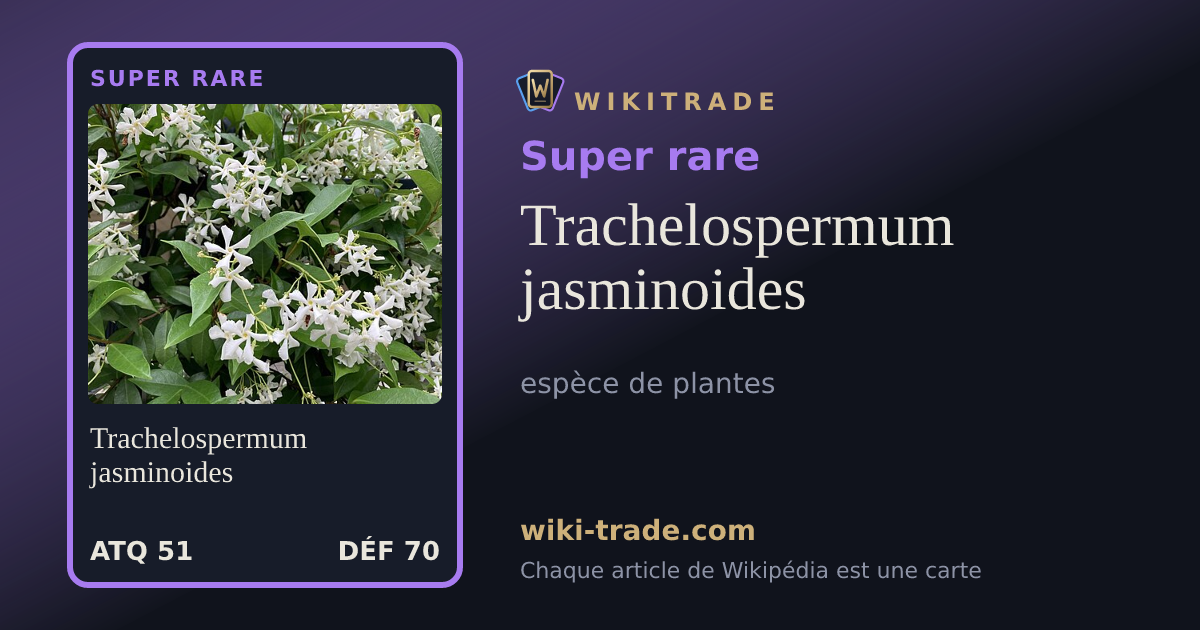 Trachelospermum jasminoides — carte Super rare