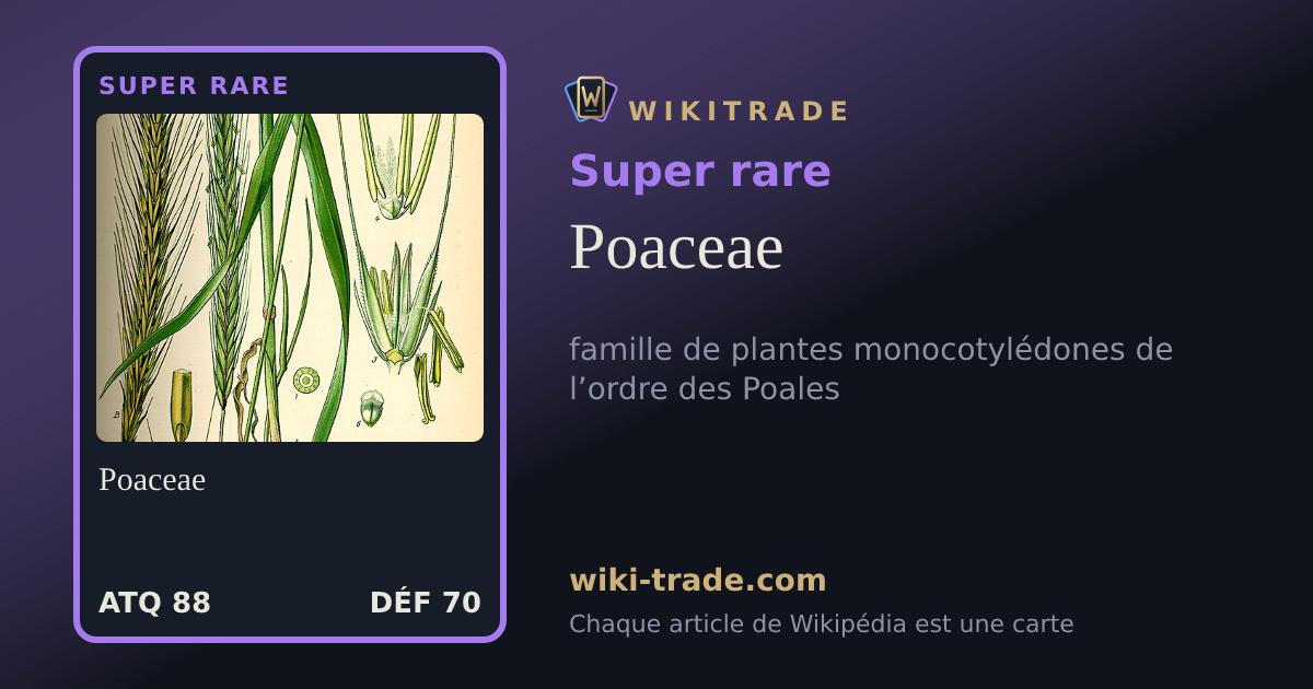 Poaceae — carte Super rare