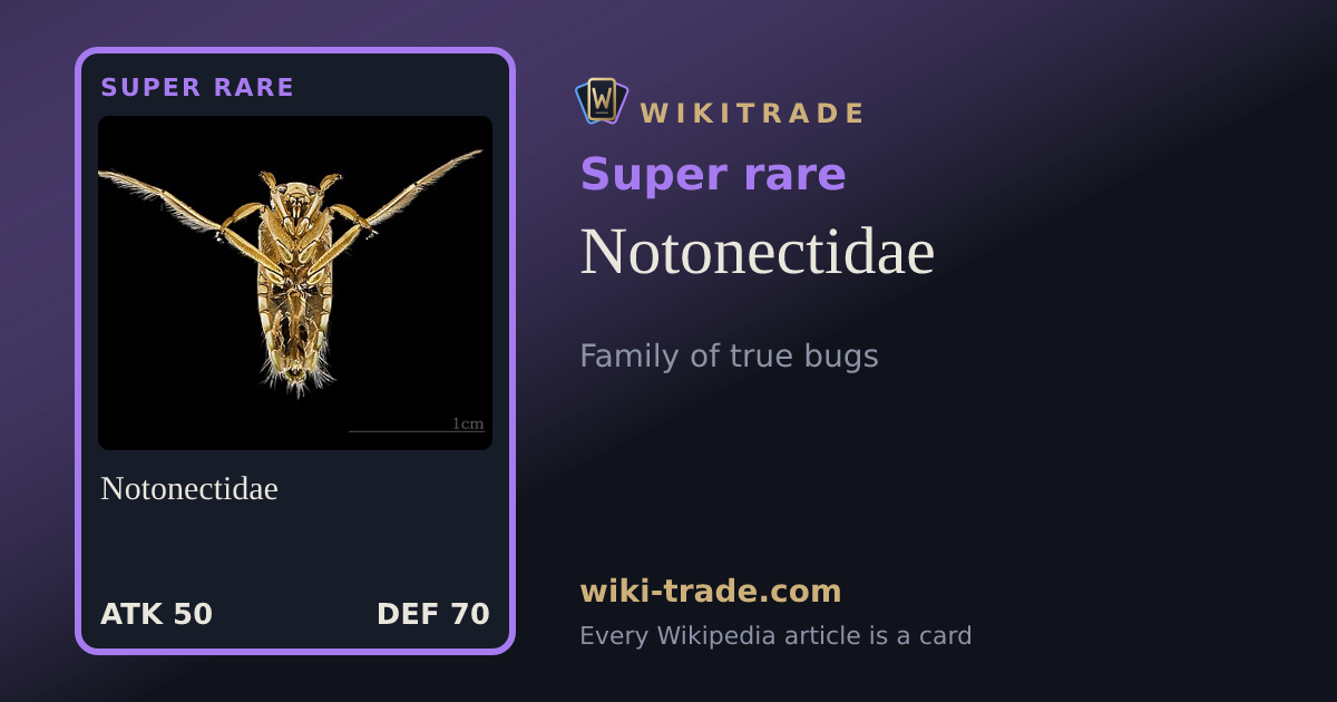 Notonectidae — Super rare card