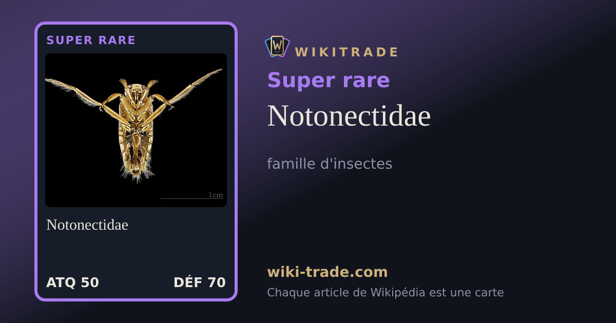 Notonectidae — carte Super rare