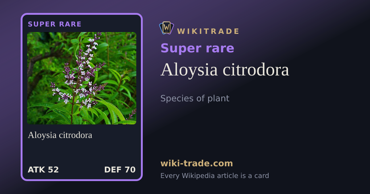 Aloysia citrodora — Super rare card