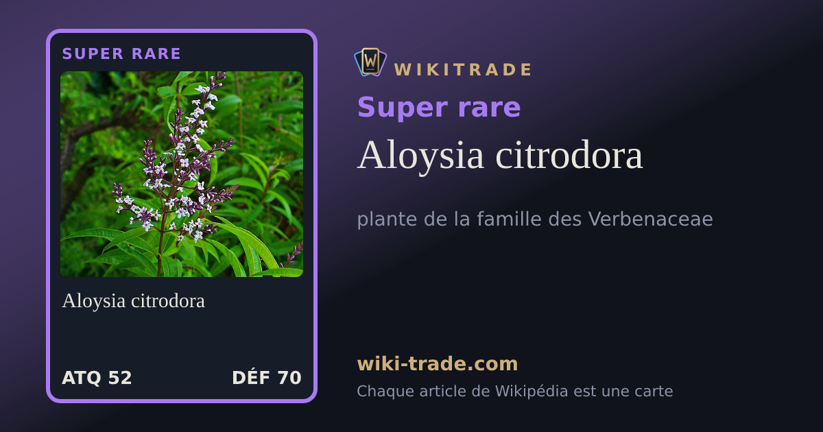 Aloysia citrodora — carte Super rare