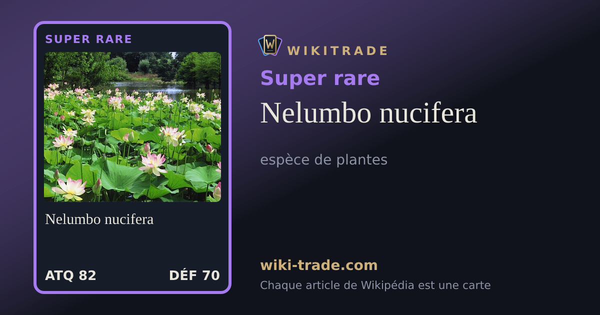 Nelumbo nucifera — carte Super rare