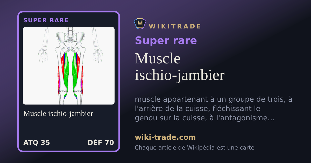 Muscle ischio-jambier — carte Super rare