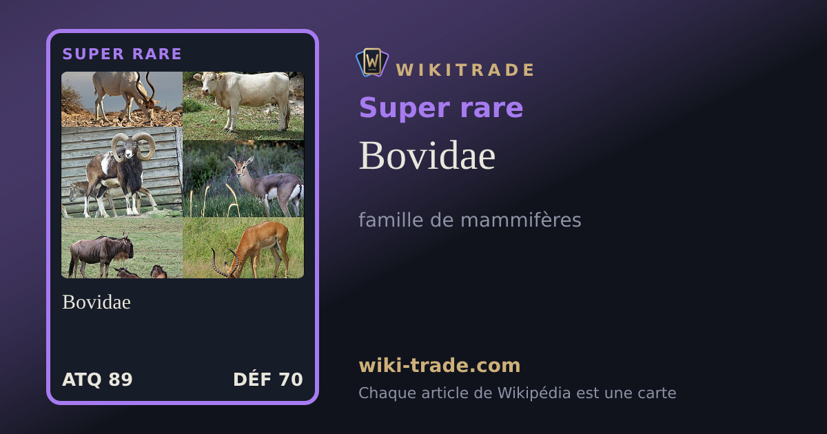Bovidae — carte Super rare
