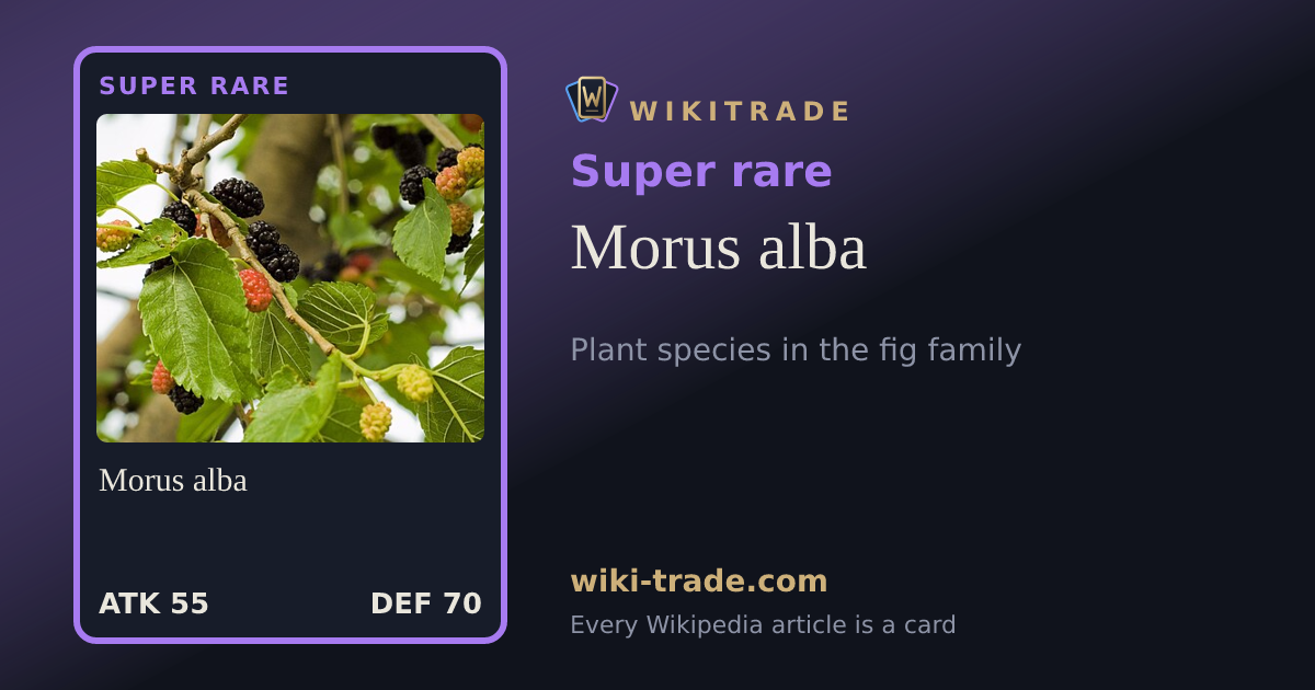 Morus alba — Super rare card