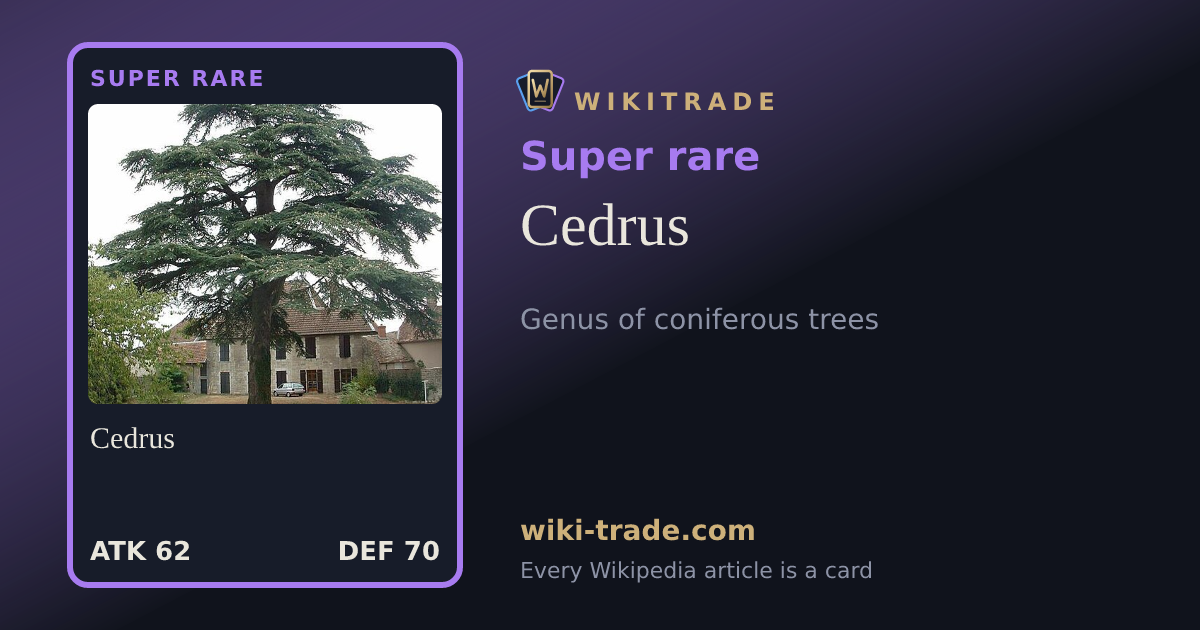 Cedrus — Super rare card