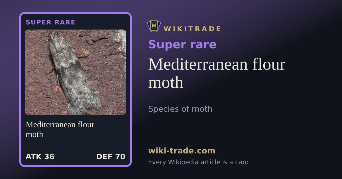 Mediterranean flour moth — Super rare card