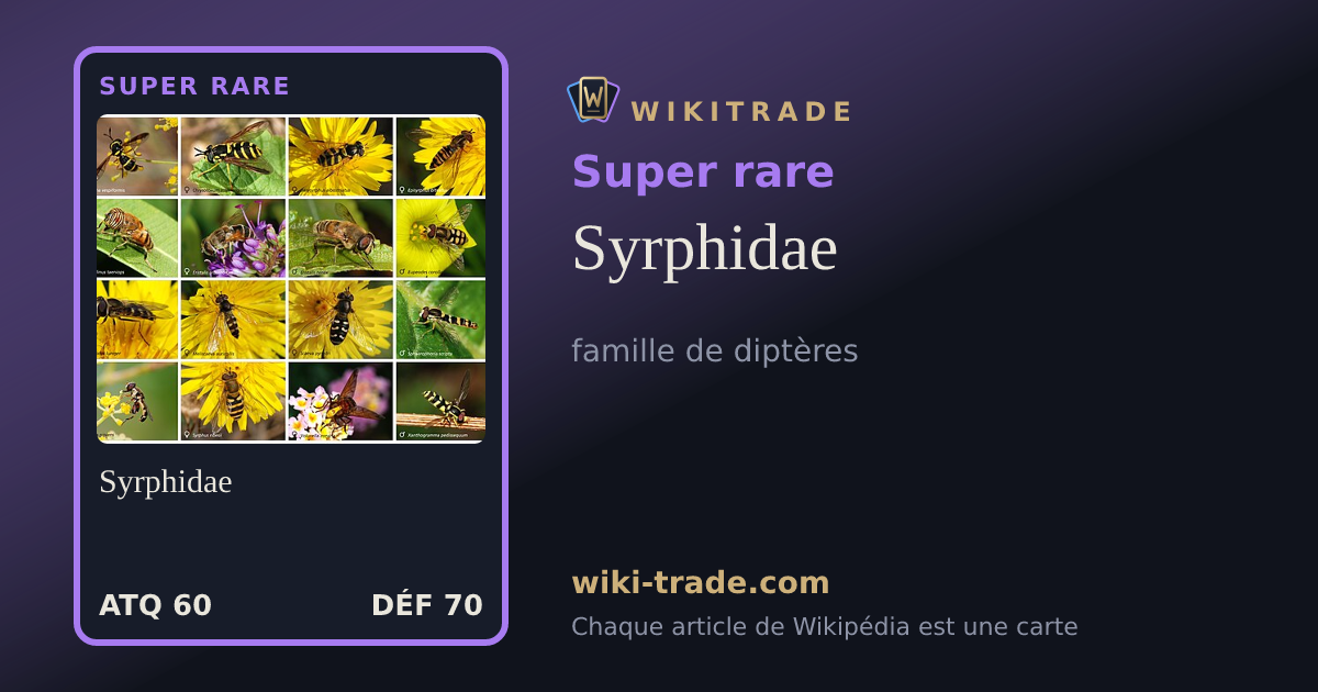 Syrphidae — carte Super rare