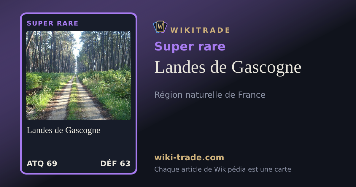 Landes de Gascogne — carte Super rare