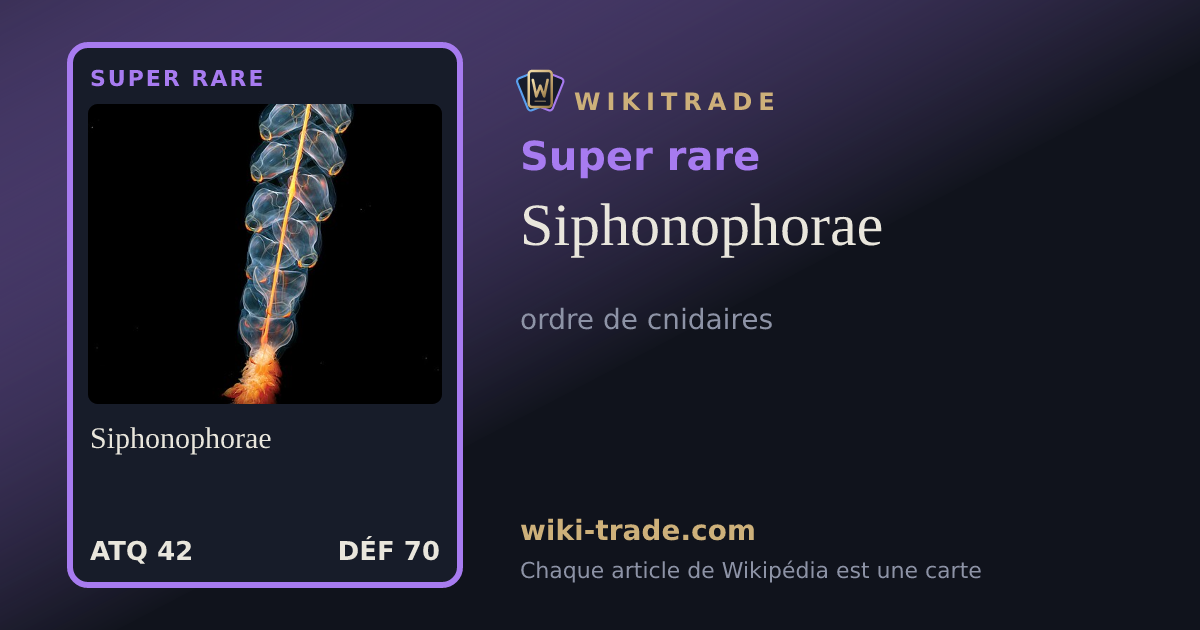 Siphonophorae — carte Super rare