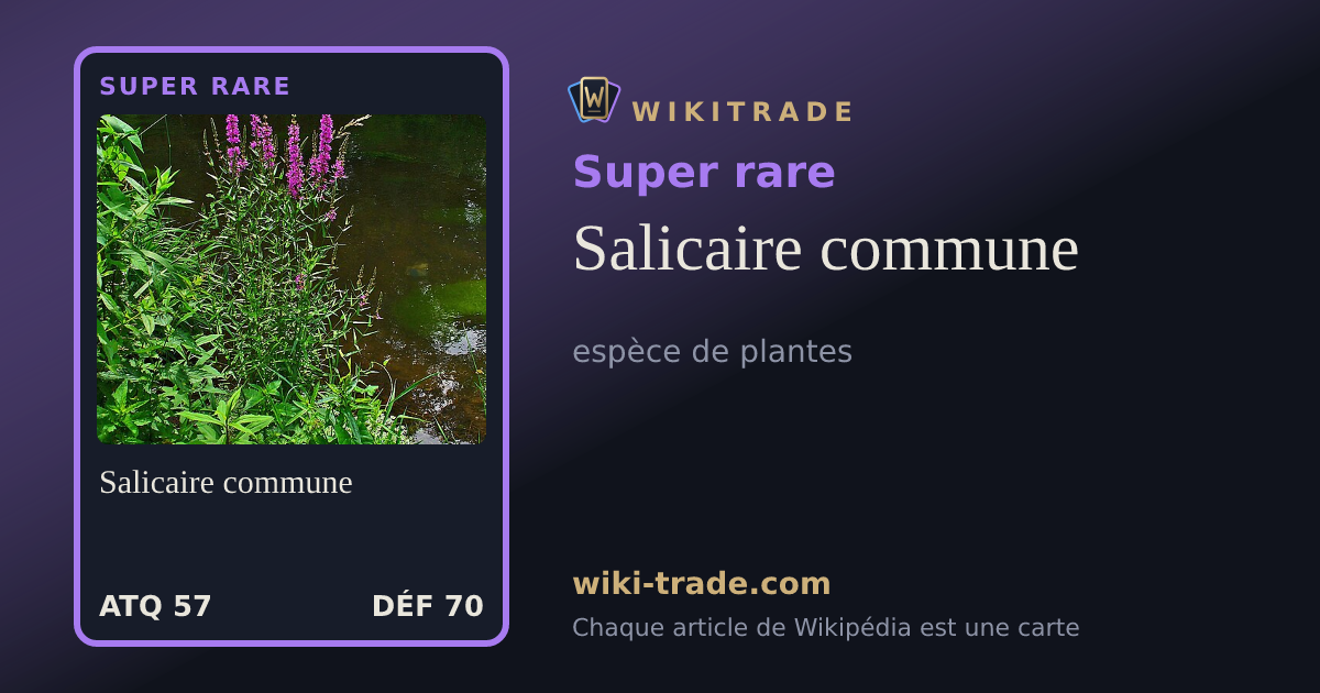 Salicaire commune — carte Super rare