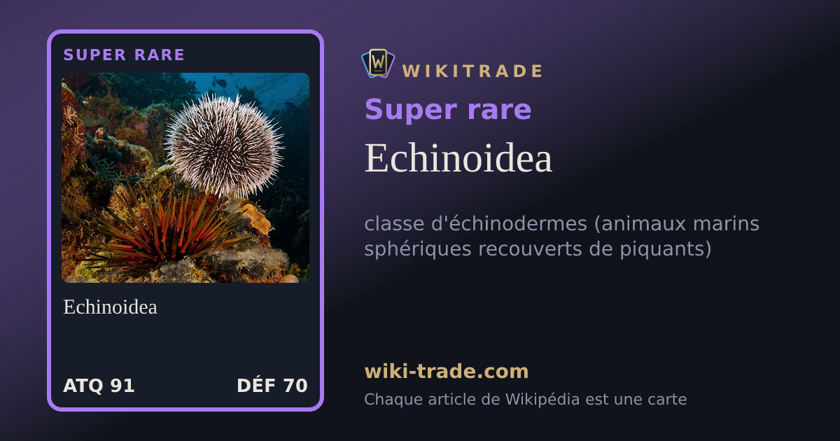 Echinoidea — carte Super rare