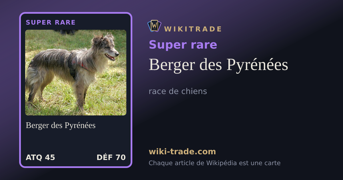 Berger des Pyrénées — carte Super rare