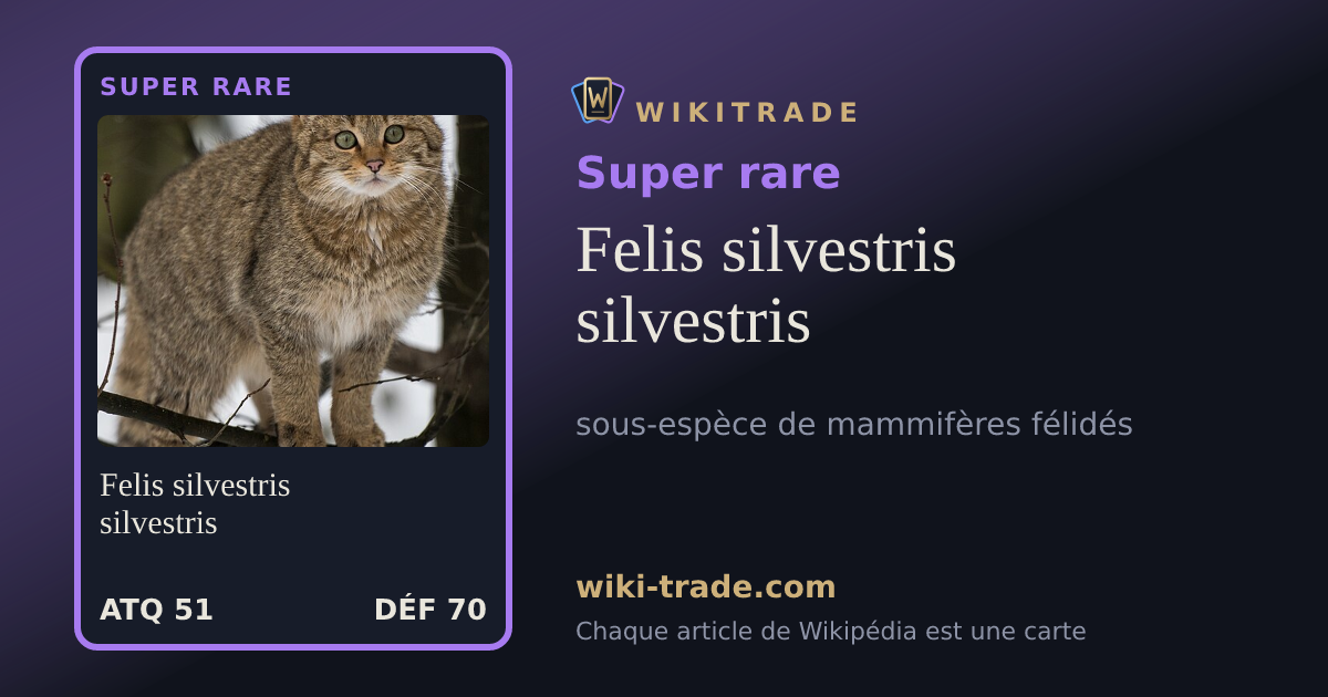 Felis silvestris silvestris — carte Super rare