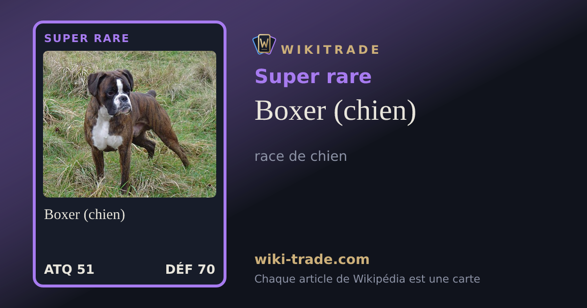Boxer (chien) — carte Super rare