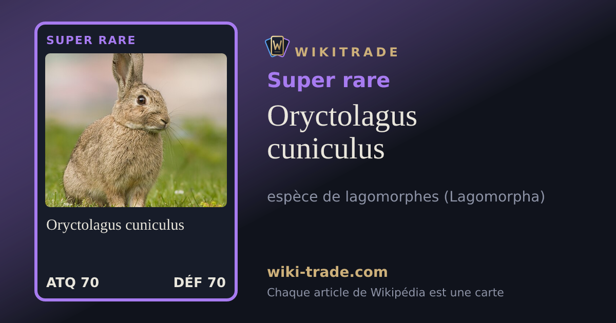 Oryctolagus cuniculus — carte Super rare