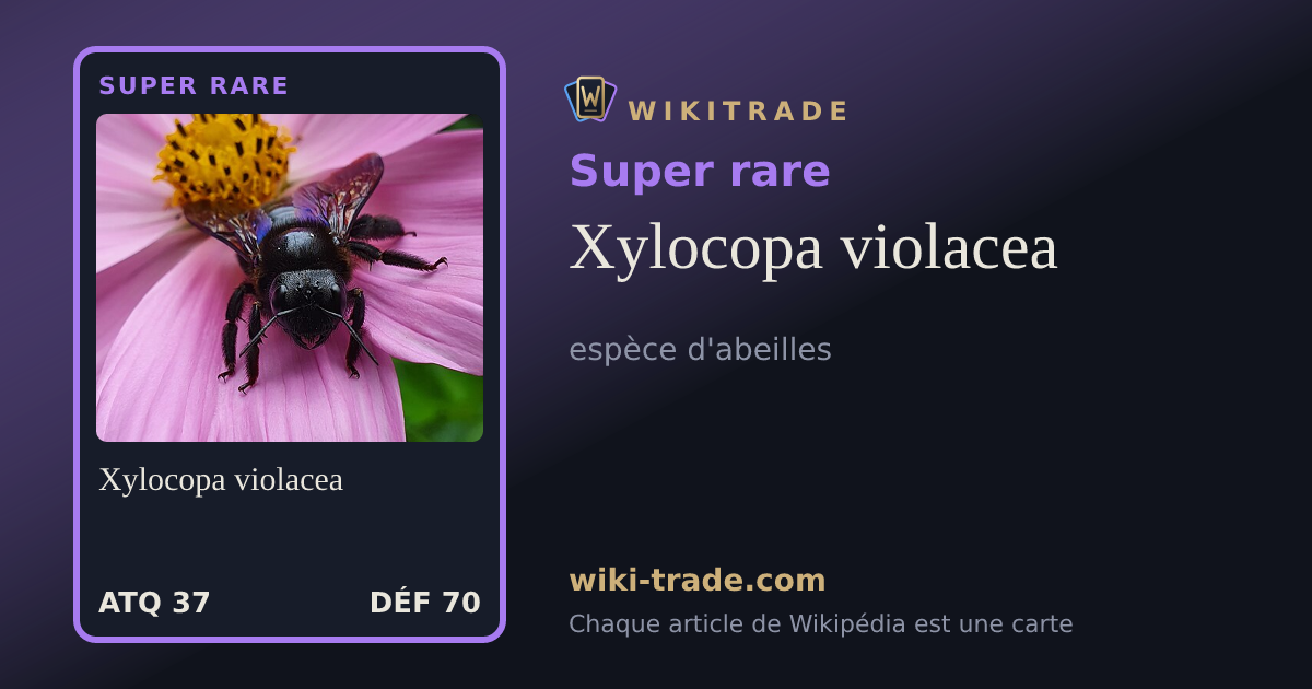 Xylocopa violacea — carte Super rare