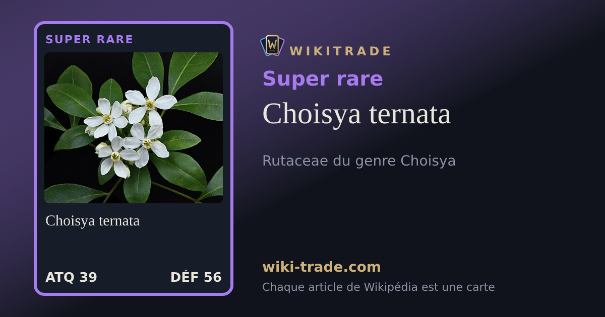 Choisya ternata — carte Super rare