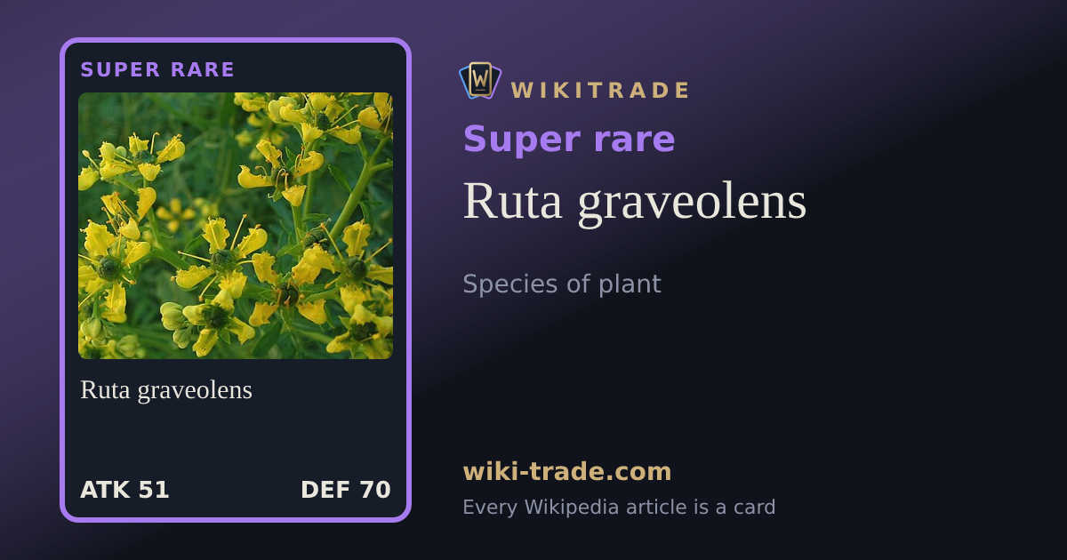 Ruta graveolens — Super rare card