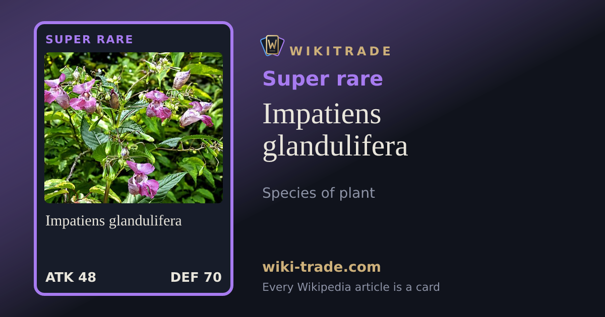 Impatiens glandulifera — Super rare card