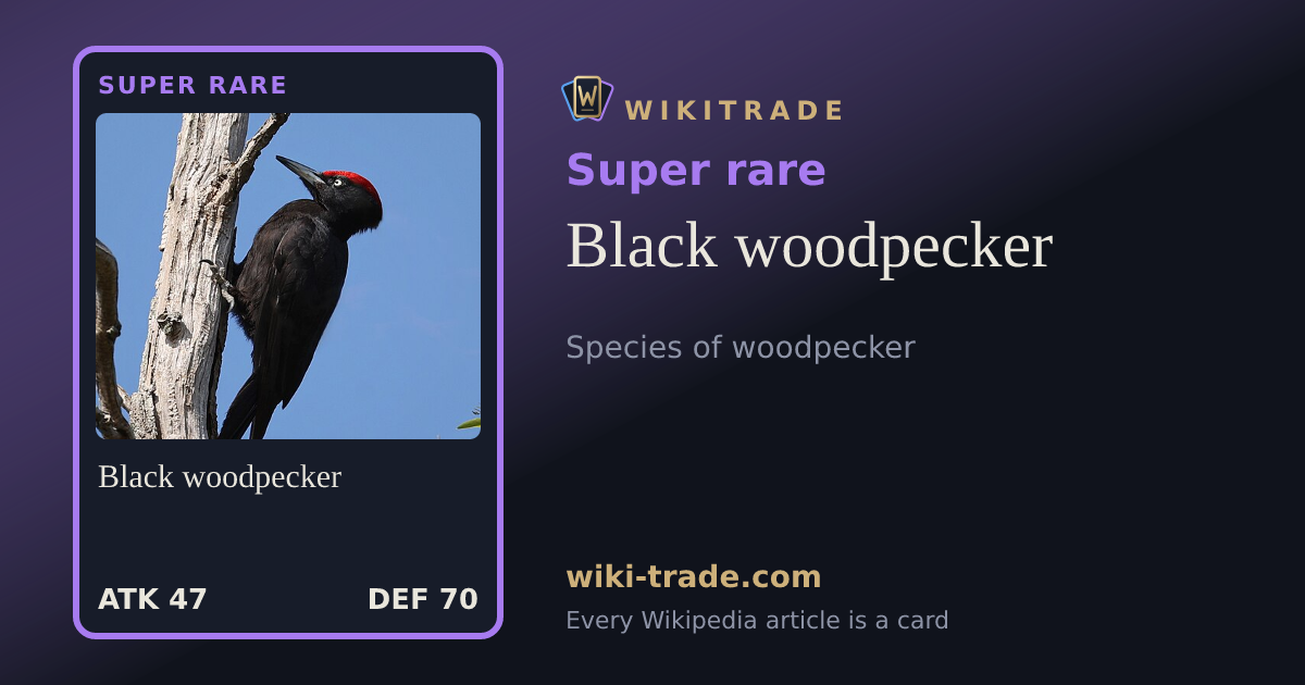 Black woodpecker — Super rare card