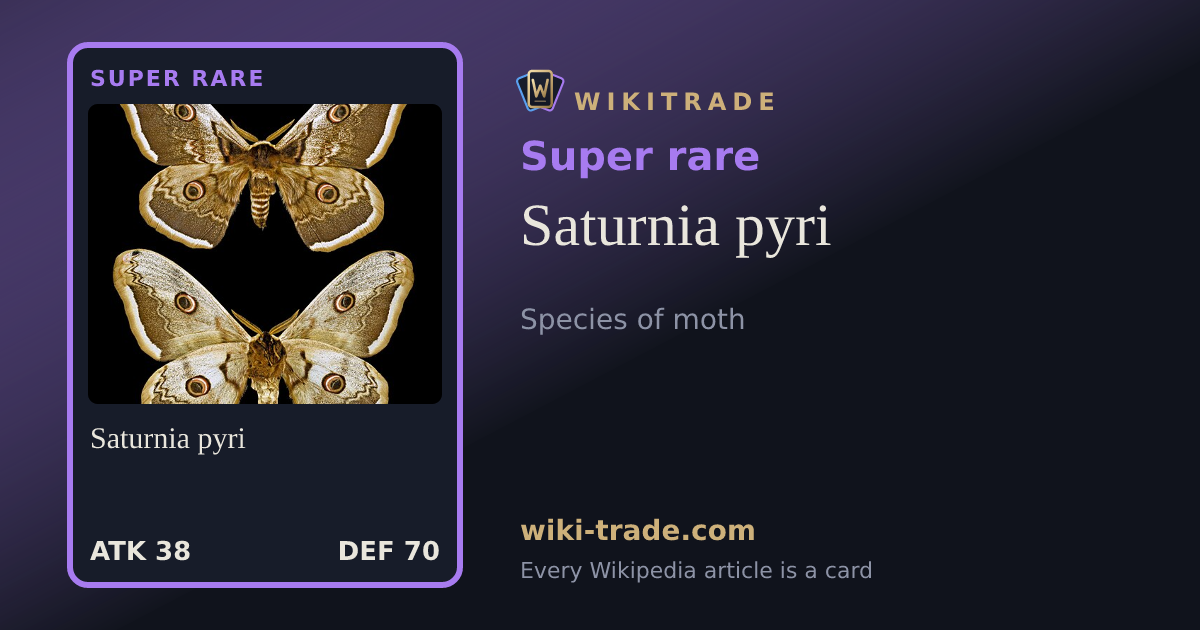 Saturnia pyri — Super rare card
