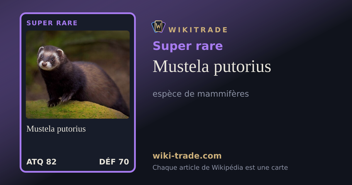 Mustela putorius — carte Super rare