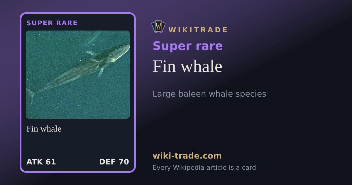 Fin whale — Super rare card