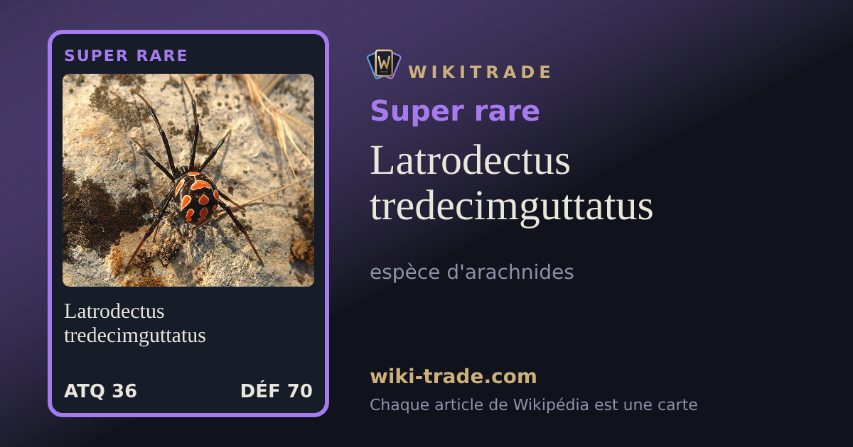 Latrodectus tredecimguttatus — carte Super rare