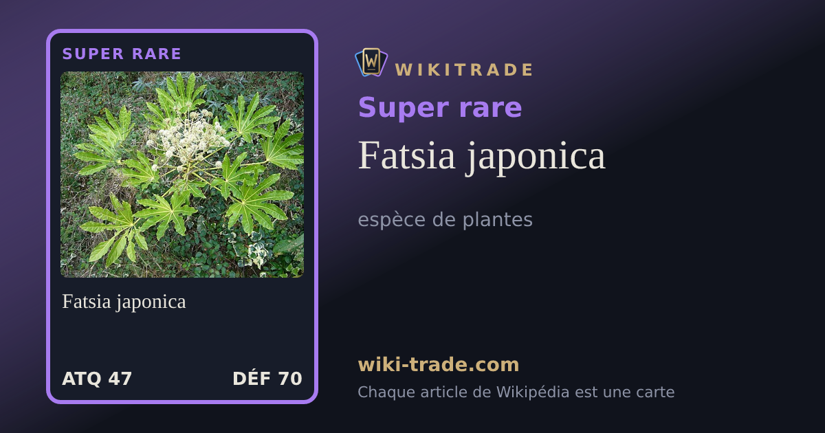 Fatsia japonica — carte Super rare