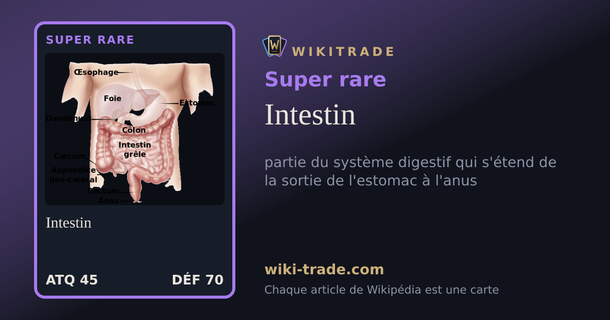 Intestin — carte Super rare
