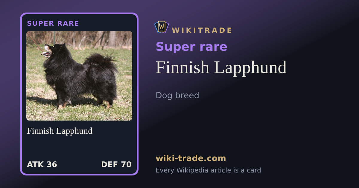 Finnish Lapphund — Super rare card