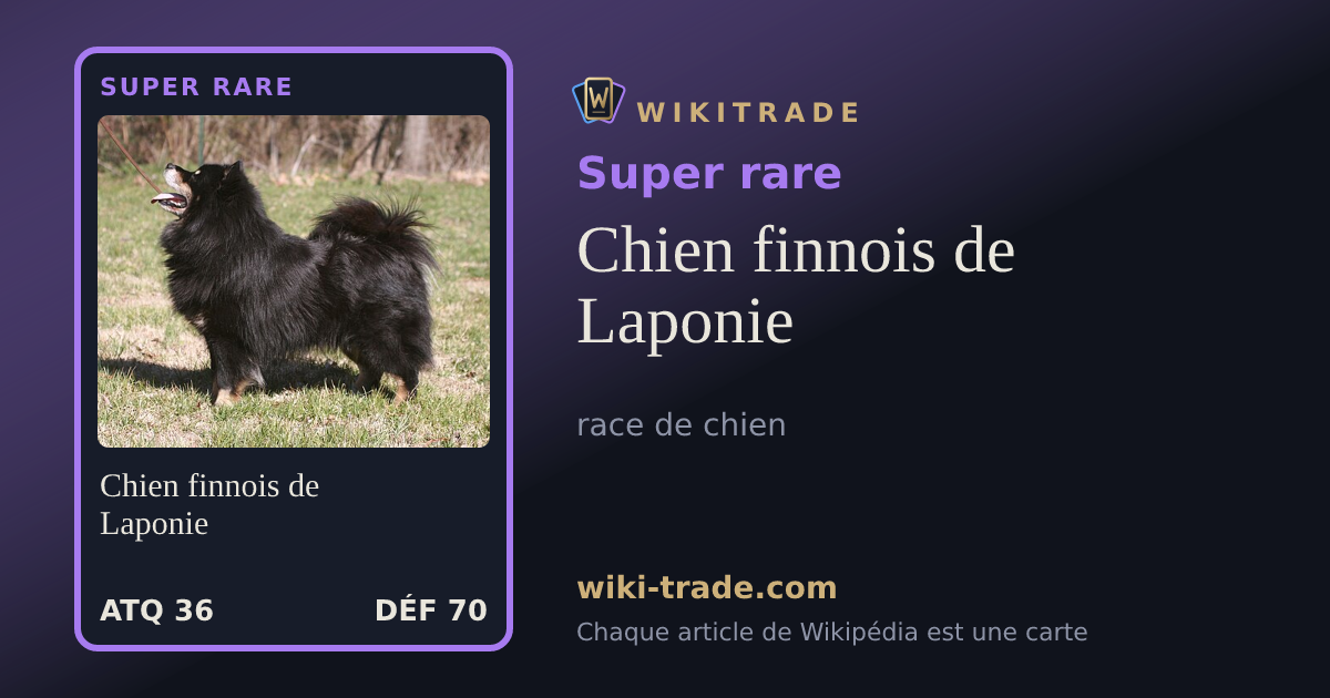 Chien finnois de Laponie — carte Super rare