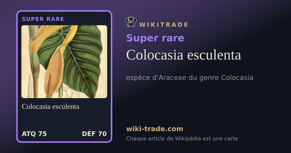 Colocasia esculenta — carte Super rare