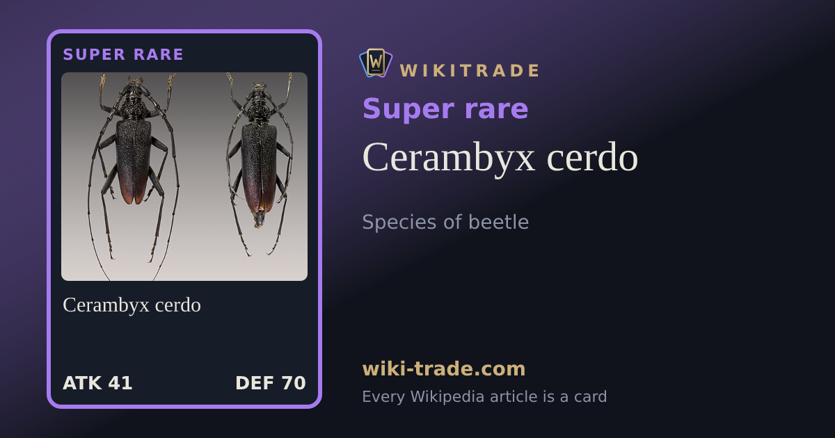 Cerambyx cerdo — Super rare card