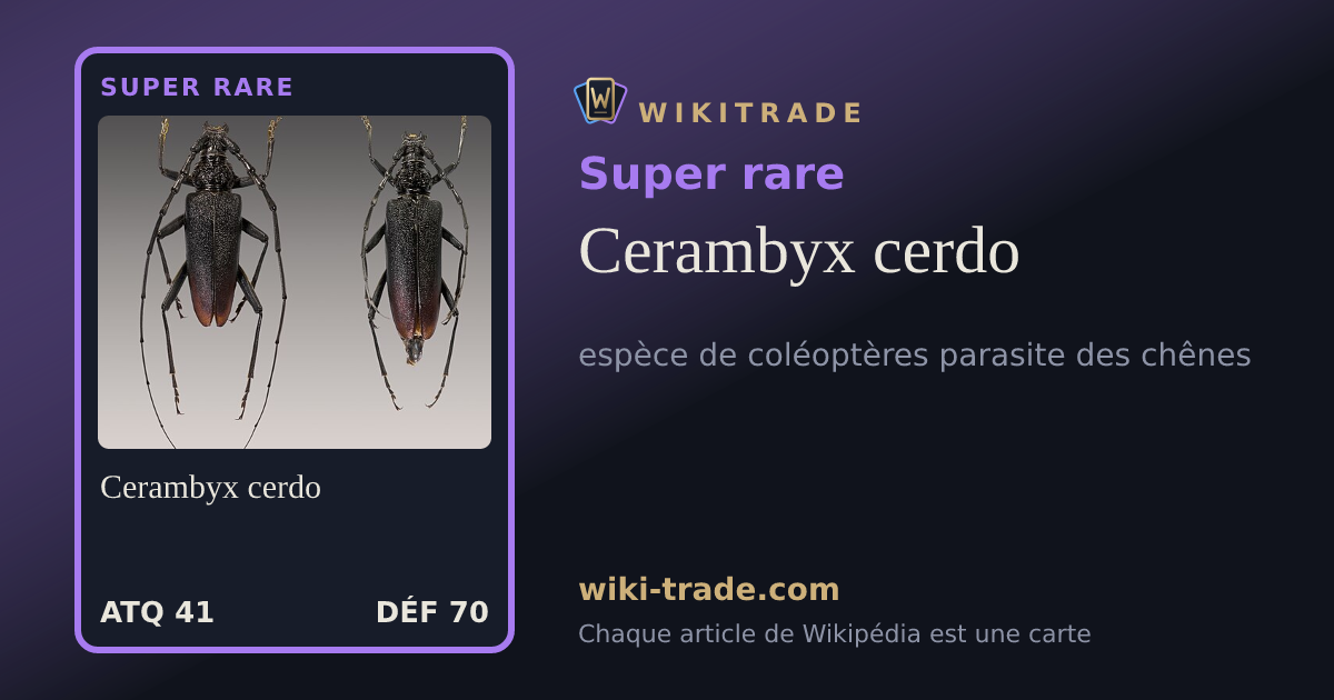 Cerambyx cerdo — carte Super rare