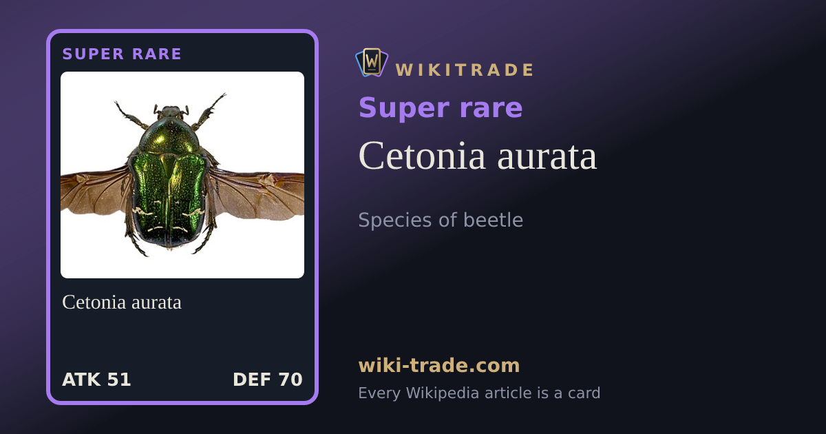 Cetonia aurata — Super rare card