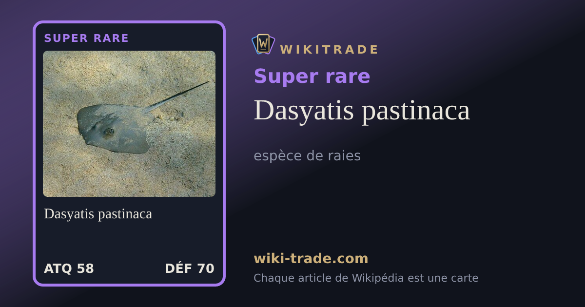 Dasyatis pastinaca — carte Super rare