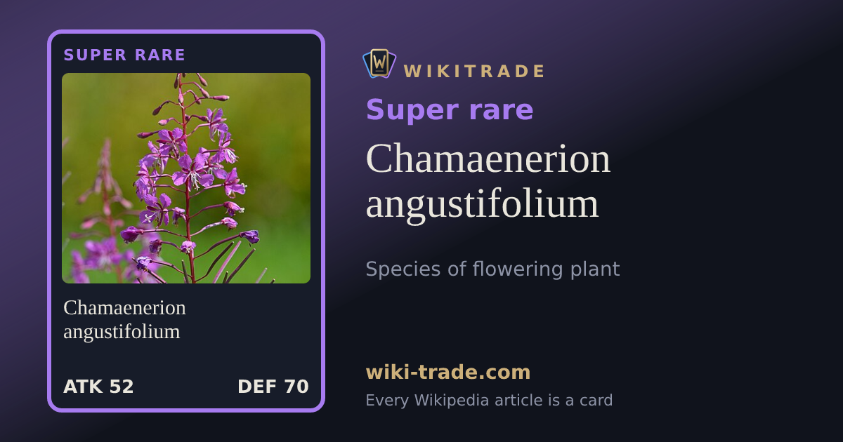 Chamaenerion angustifolium — Super rare card