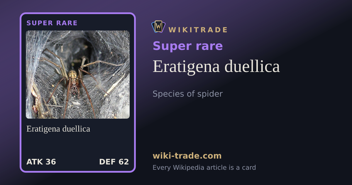 Eratigena duellica — Super rare card