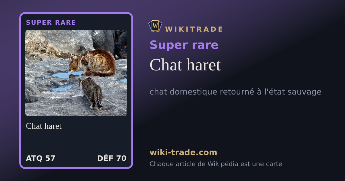 Chat haret — carte Super rare