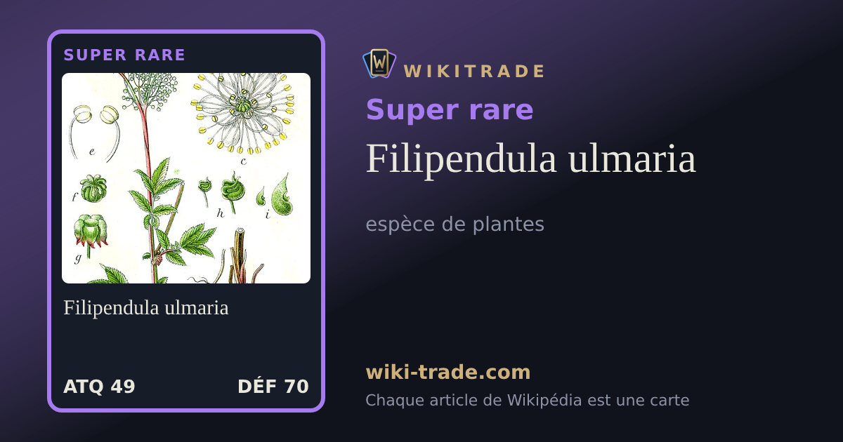 Filipendula ulmaria — carte Super rare