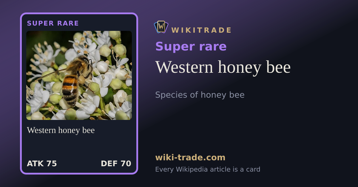 Western honey bee — Super rare card