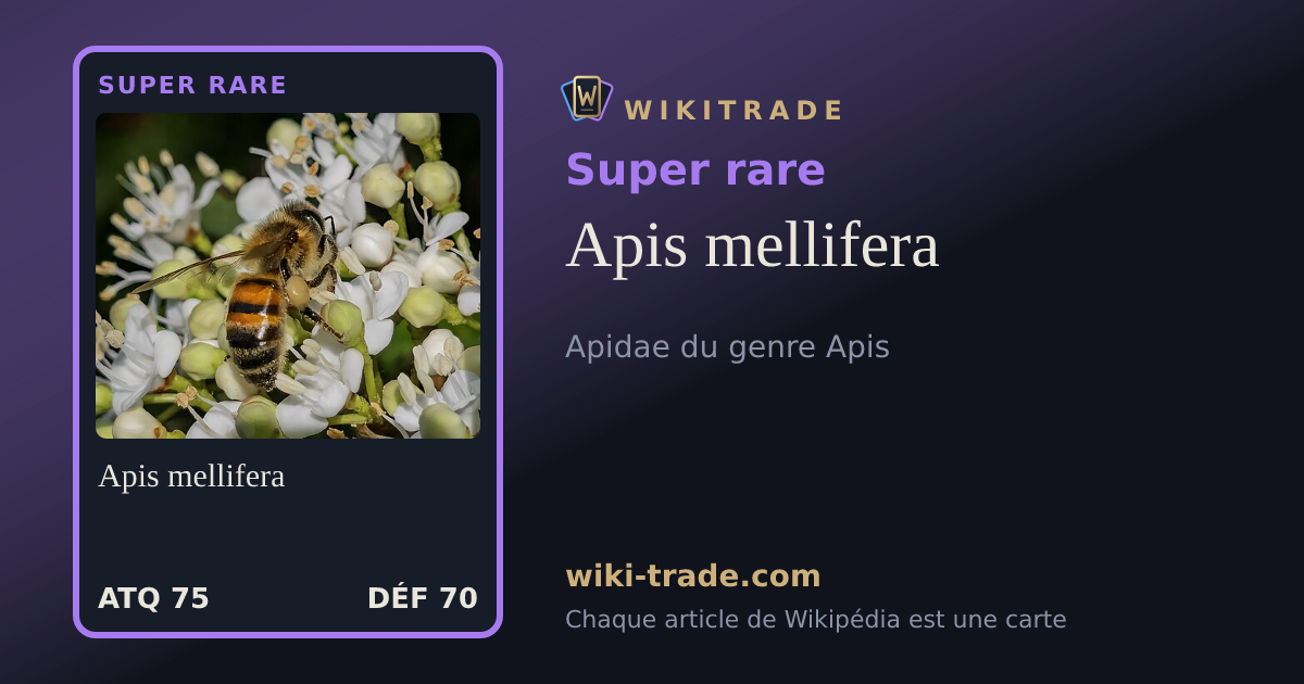 Apis mellifera — carte Super rare