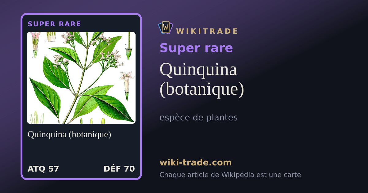 Quinquina (botanique) — carte Super rare