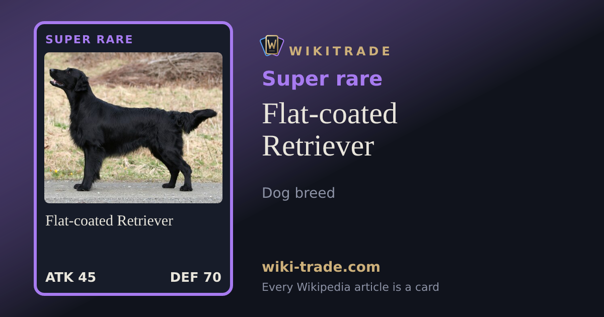 Flat-coated Retriever — Super rare card