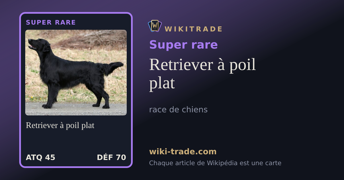 Retriever à poil plat — carte Super rare
